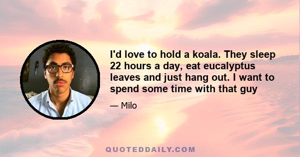 I'd love to hold a koala. They sleep 22 hours a day, eat eucalyptus leaves and just hang out. I want to spend some time with that guy