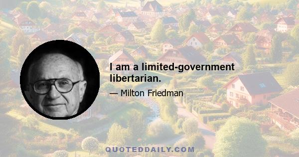 I am a limited-government libertarian.