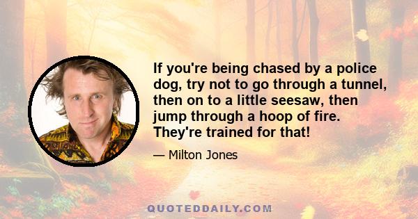 If you're being chased by a police dog, try not to go through a tunnel, then on to a little seesaw, then jump through a hoop of fire. They're trained for that!