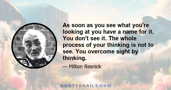 As soon as you see what you're looking at you have a name for it. You don't see it. The whole process of your thinking is not to see. You overcome sight by thinking.