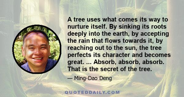 A tree uses what comes its way to nurture itself. By sinking its roots deeply into the earth, by accepting the rain that flows towards it, by reaching out to the sun, the tree perfects its character and becomes great.