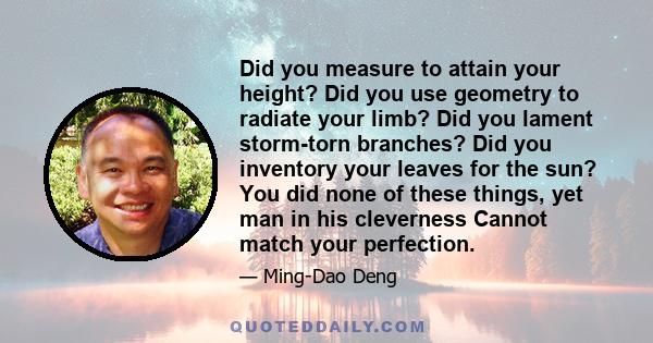 Did you measure to attain your height? Did you use geometry to radiate your limb? Did you lament storm-torn branches? Did you inventory your leaves for the sun? You did none of these things, yet man in his cleverness