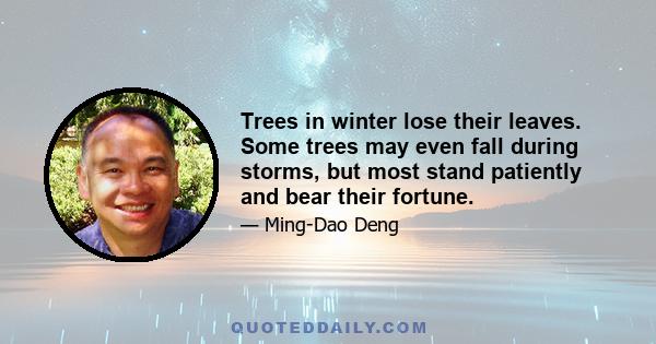 Trees in winter lose their leaves. Some trees may even fall during storms, but most stand patiently and bear their fortune.