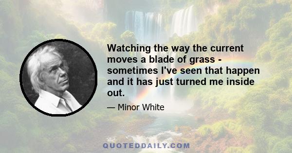 Watching the way the current moves a blade of grass - sometimes I've seen that happen and it has just turned me inside out.