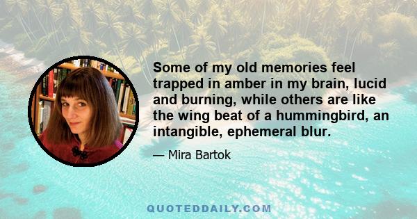 Some of my old memories feel trapped in amber in my brain, lucid and burning, while others are like the wing beat of a hummingbird, an intangible, ephemeral blur.