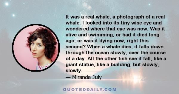 It was a real whale, a photograph of a real whale. I looked into its tiny wise eye and wondered where that eye was now. Was it alive and swimming, or had it died long ago, or was it dying now, right this second? When a