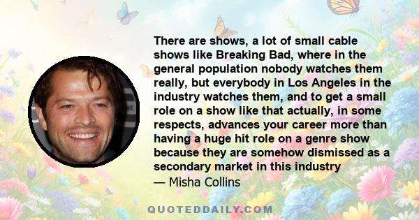 There are shows, a lot of small cable shows like Breaking Bad, where in the general population nobody watches them really, but everybody in Los Angeles in the industry watches them, and to get a small role on a show