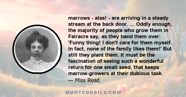 marrows - alas! - are arriving in a steady stream at the back door. ... Oddly enough, the majority of people who grow them in Fairacre say, as they hand them over: 'Funny thing! I don't care for them myself. In fact,