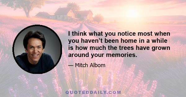 I think what you notice most when you haven’t been home in a while is how much the trees have grown around your memories.