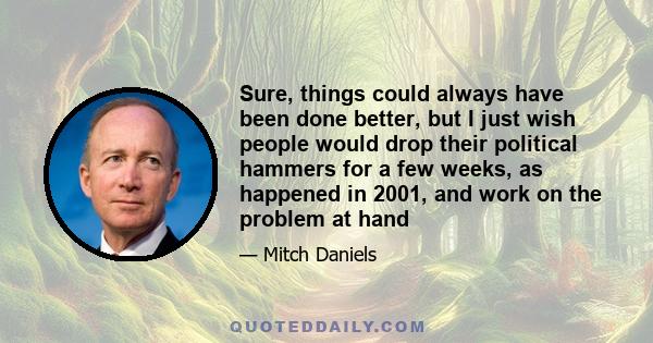 Sure, things could always have been done better, but I just wish people would drop their political hammers for a few weeks, as happened in 2001, and work on the problem at hand