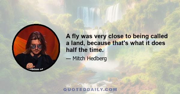 A fly was very close to being called a land, because that's what it does half the time.