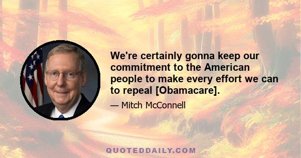 We're certainly gonna keep our commitment to the American people to make every effort we can to repeal [Obamacare].