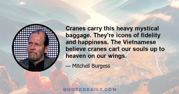 Cranes carry this heavy mystical baggage. They're icons of fidelity and happiness. The Vietnamese believe cranes cart our souls up to heaven on our wings.