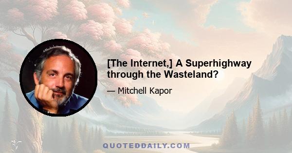 [The Internet,] A Superhighway through the Wasteland?