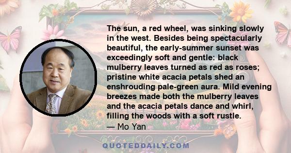 The sun, a red wheel, was sinking slowly in the west. Besides being spectacularly beautiful, the early-summer sunset was exceedingly soft and gentle: black mulberry leaves turned as red as roses; pristine white acacia