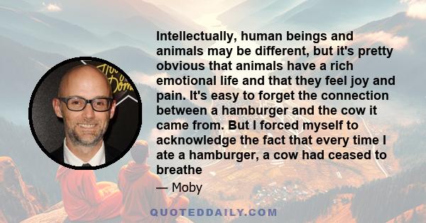 Intellectually, human beings and animals may be different, but it's pretty obvious that animals have a rich emotional life and that they feel joy and pain. It's easy to forget the connection between a hamburger and the