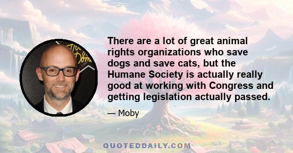 There are a lot of great animal rights organizations who save dogs and save cats, but the Humane Society is actually really good at working with Congress and getting legislation actually passed.