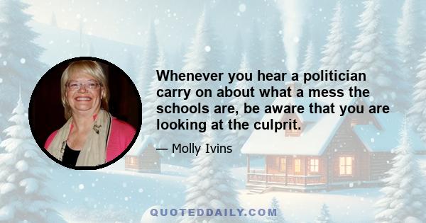 Whenever you hear a politician carry on about what a mess the schools are, be aware that you are looking at the culprit.