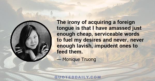 The irony of acquiring a foreign tongue is that I have amassed just enough cheap, serviceable words to fuel my desires and never, never enough lavish, impudent ones to feed them.