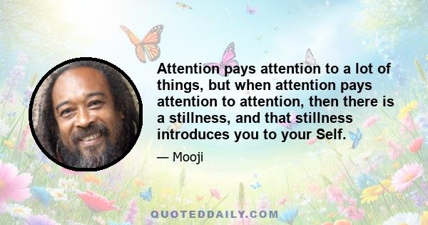 Attention pays attention to a lot of things, but when attention pays attention to attention, then there is a stillness, and that stillness introduces you to your Self.