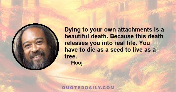 Dying to your own attachments is a beautiful death. Because this death releases you into real life. You have to die as a seed to live as a tree.