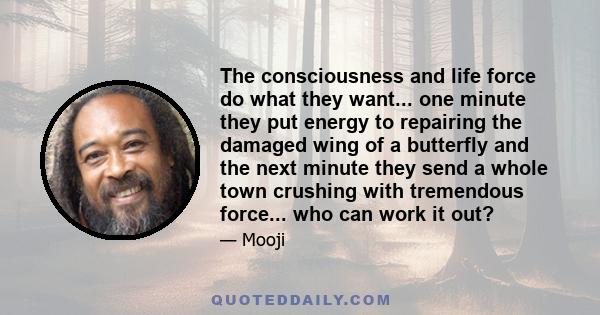 The consciousness and life force do what they want... one minute they put energy to repairing the damaged wing of a butterfly and the next minute they send a whole town crushing with tremendous force... who can work it