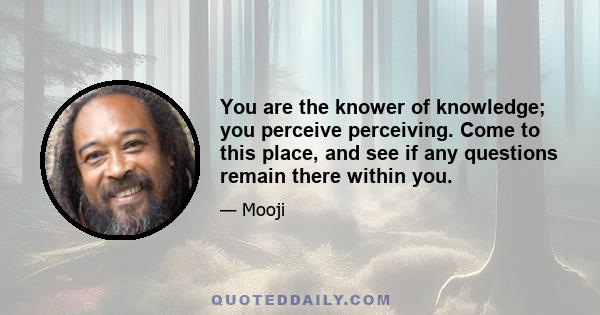 You are the knower of knowledge; you perceive perceiving. Come to this place, and see if any questions remain there within you.