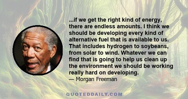 ...if we get the right kind of energy, there are endless amounts. I think we should be developing every kind of alternative fuel that is available to us. That includes hydrogen to soybeans, from solar to wind. Whatever