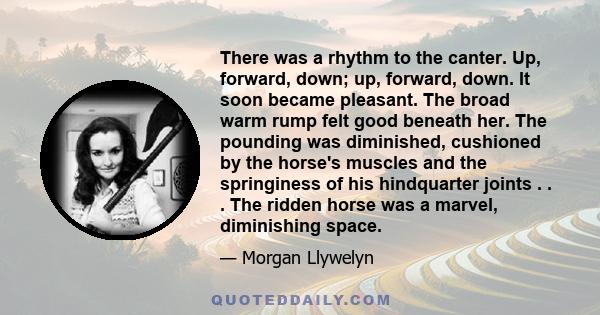 There was a rhythm to the canter. Up, forward, down; up, forward, down. It soon became pleasant. The broad warm rump felt good beneath her. The pounding was diminished, cushioned by the horse's muscles and the