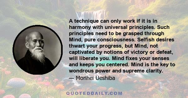 A technique can only work if it is in harmony with universal principles. Such principles need to be grasped through Mind, pure consciousness. Selfish desires thwart your progress, but Mind, not captivated by notions of