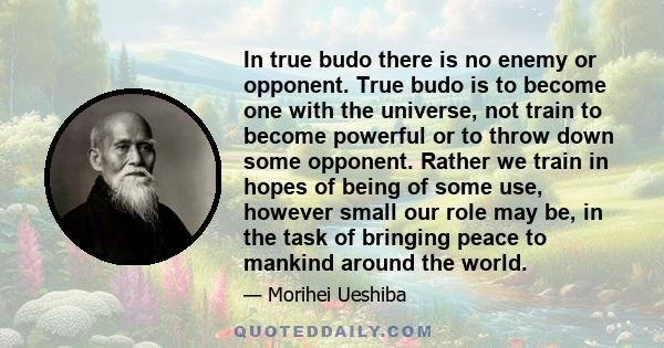 In true budo there is no enemy or opponent. True budo is to become one with the universe, not train to become powerful or to throw down some opponent. Rather we train in hopes of being of some use, however small our