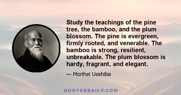 Study the teachings of the pine tree, the bamboo, and the plum blossom. The pine is evergreen, firmly rooted, and venerable. The bamboo is strong, resilient, unbreakable. The plum blossom is hardy, fragrant, and elegant.