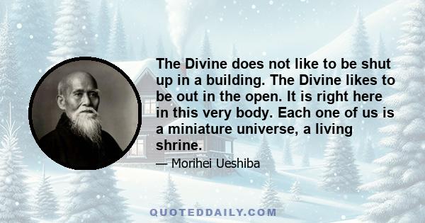 The Divine does not like to be shut up in a building. The Divine likes to be out in the open. It is right here in this very body. Each one of us is a miniature universe, a living shrine.