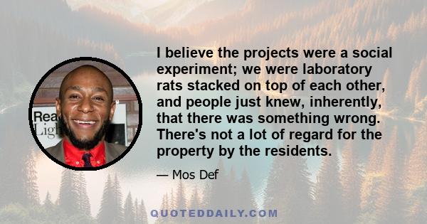 I believe the projects were a social experiment; we were laboratory rats stacked on top of each other, and people just knew, inherently, that there was something wrong. There's not a lot of regard for the property by