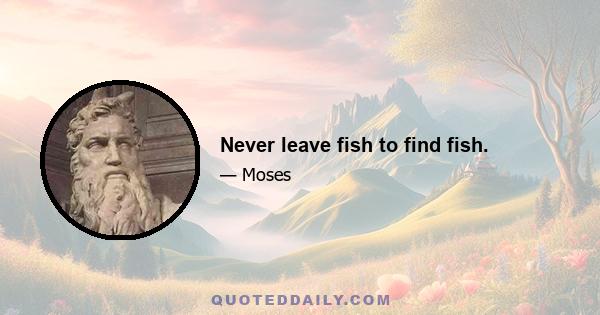 Never leave fish to find fish.