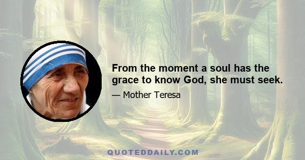 From the moment a soul has the grace to know God, she must seek.