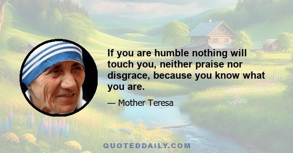 If you are humble nothing will touch you, neither praise nor disgrace, because you know what you are.