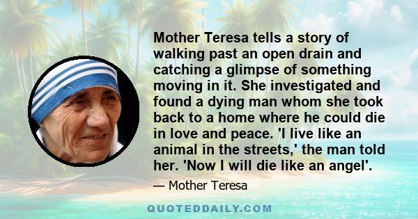 Mother Teresa tells a story of walking past an open drain and catching a glimpse of something moving in it. She investigated and found a dying man whom she took back to a home where he could die in love and peace. 'I