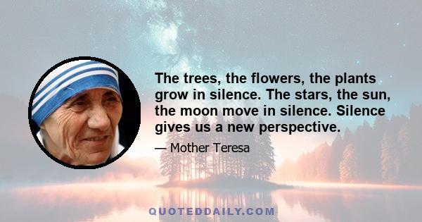 The trees, the flowers, the plants grow in silence. The stars, the sun, the moon move in silence. Silence gives us a new perspective.