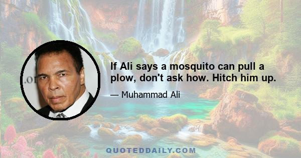 If Ali says a mosquito can pull a plow, don't ask how. Hitch him up.