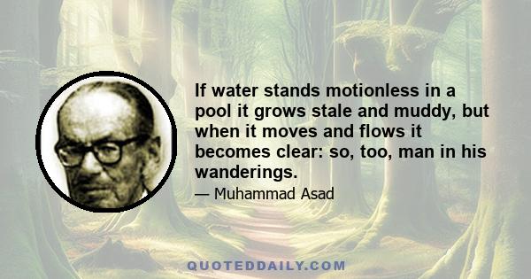 If water stands motionless in a pool it grows stale and muddy, but when it moves and flows it becomes clear: so, too, man in his wanderings.