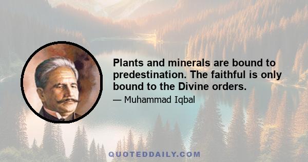 Plants and minerals are bound to predestination. The faithful is only bound to the Divine orders.