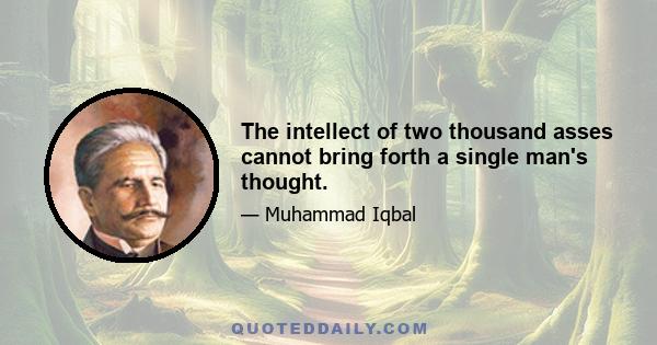 The intellect of two thousand asses cannot bring forth a single man's thought.