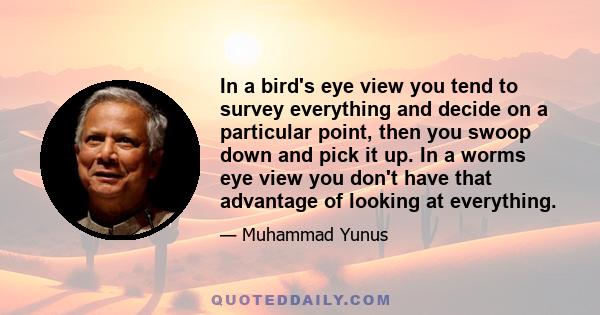 In a bird's eye view you tend to survey everything and decide on a particular point, then you swoop down and pick it up. In a worms eye view you don't have that advantage of looking at everything.