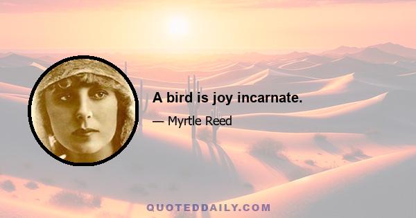 A bird is joy incarnate.