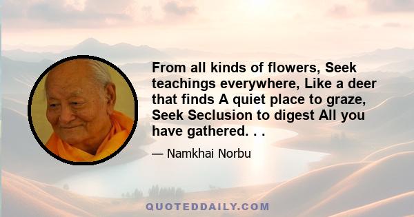 From all kinds of flowers, Seek teachings everywhere, Like a deer that finds A quiet place to graze, Seek Seclusion to digest All you have gathered. . .