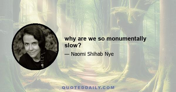 why are we so monumentally slow?