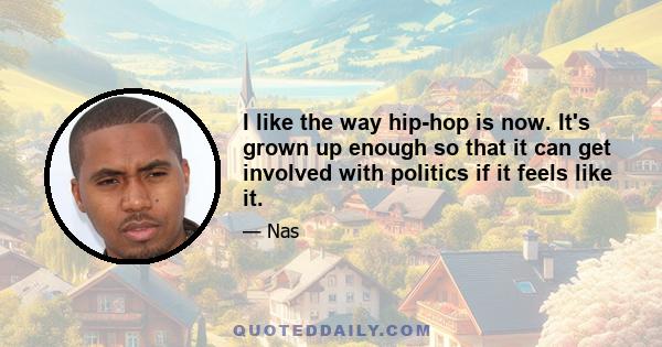 I like the way hip-hop is now. It's grown up enough so that it can get involved with politics if it feels like it.