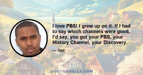 I love PBS! I grew up on it. If I had to say which channels were good, I'd say, you got your PBS, your History Channel, your Discovery.