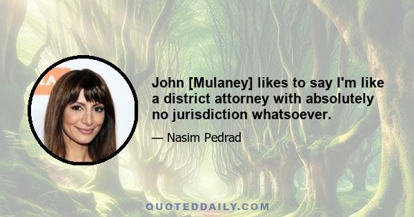 John [Mulaney] likes to say I'm like a district attorney with absolutely no jurisdiction whatsoever.